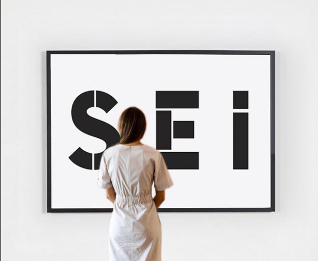 Holtmann_SEI 